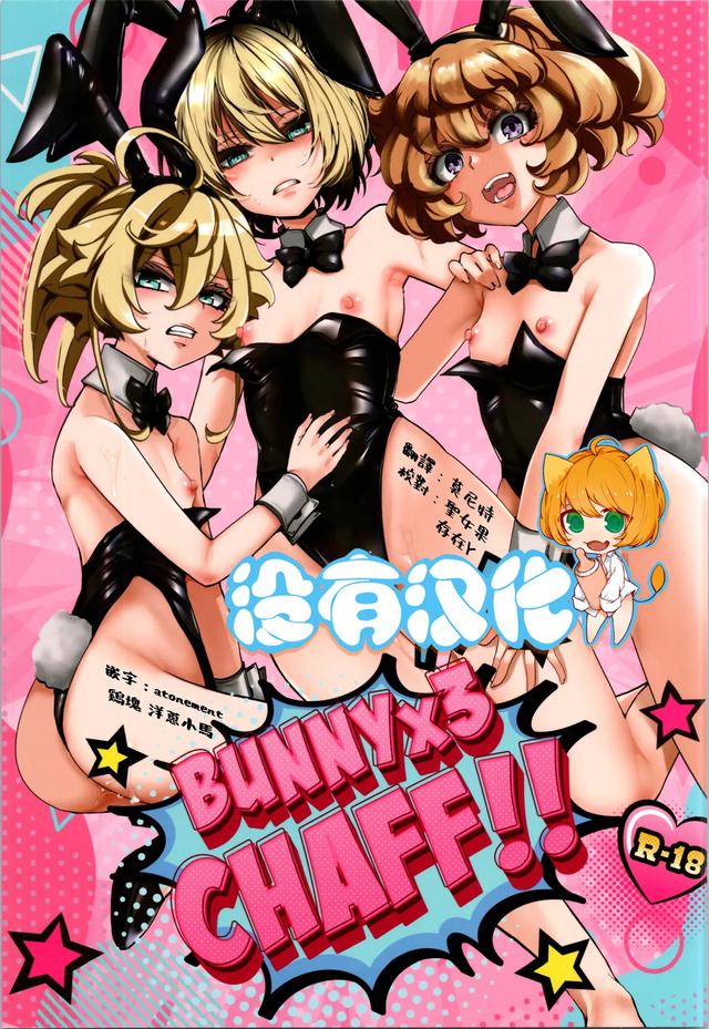 (C107) [Goshujinsama no Omochabako (hal)] BUNNY×3 CHAFF!! (Youjo Senki) 